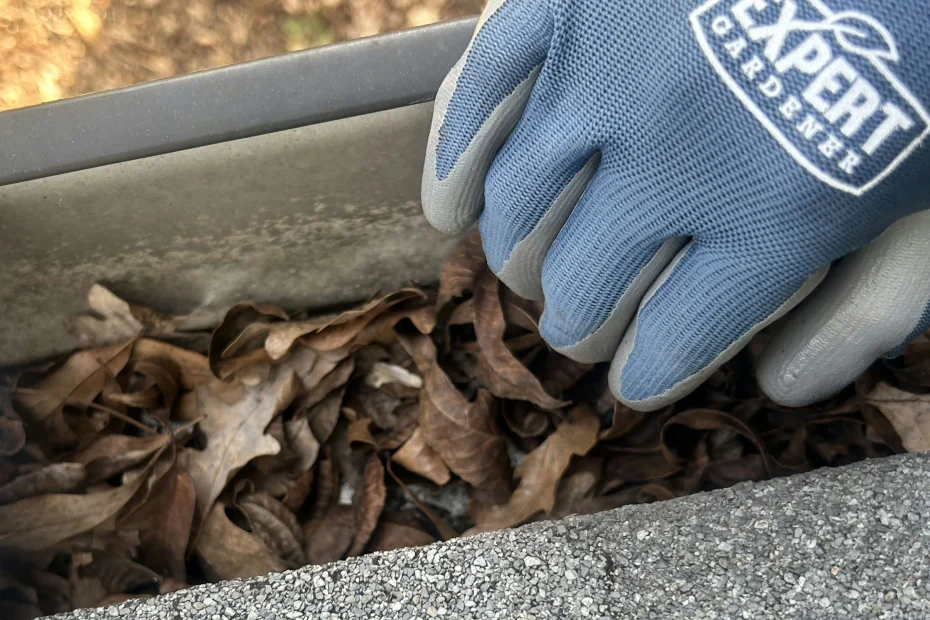 Gutter Cleaning College Park