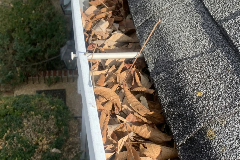 Gutter Cleaning College Park