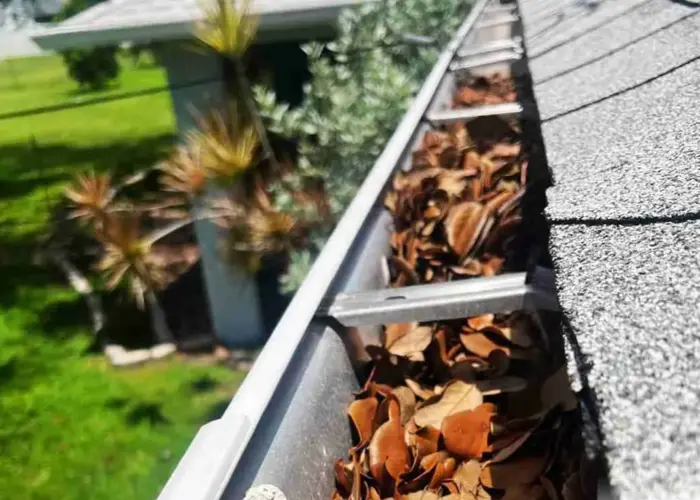 Gutter Cleaning College Park home page